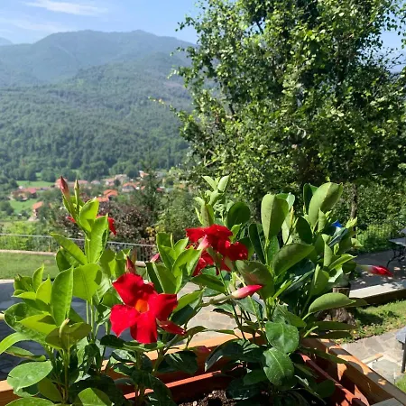 Alma Chalet
