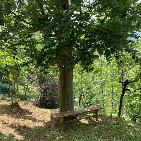 Alma Chalet Frabosa Sottana