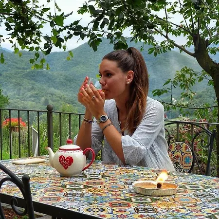 Chalet Alma