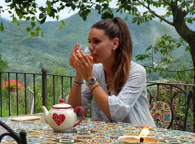 Шале Alma